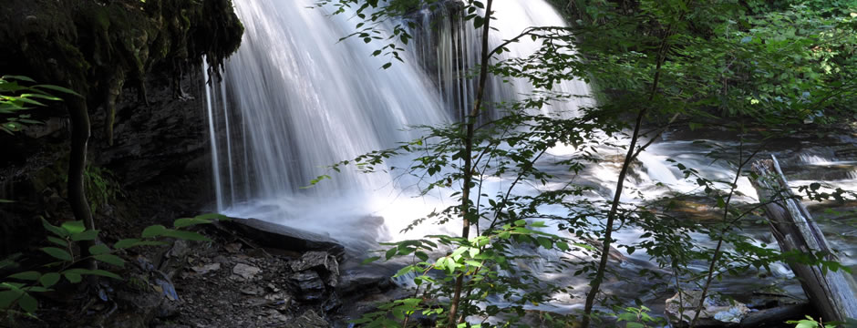 DDOS压力测试网页端