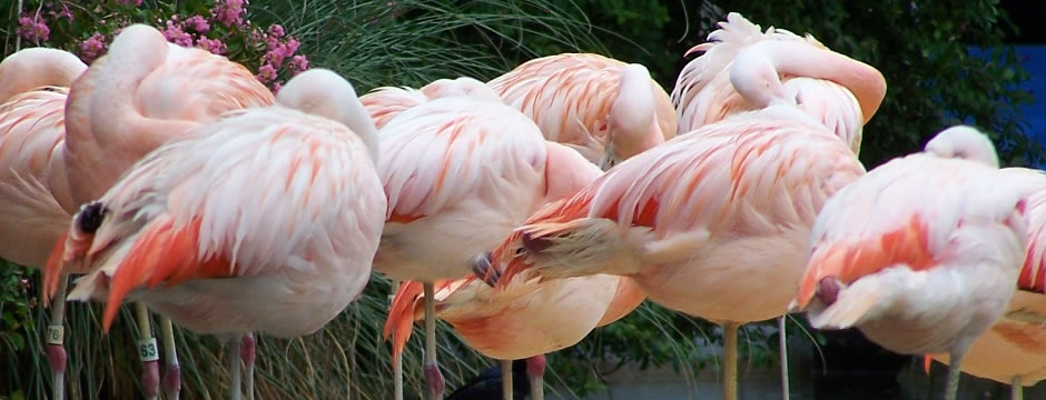 在线DDOS压力测试网页端